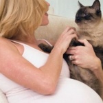 Опасная кошачья болезнь спасёт людей от рака