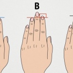 О чем говорит длина пальцев на вашей руке