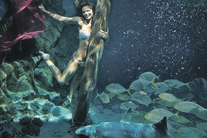 Юлия Ефимова признана одной из самых привлекательных пловчих мира.