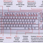 Знаете ли вы клавиатуру на своём компьютере?