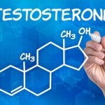 Исследование: тестостерон продлевает мужчинам жизнь