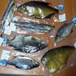 Сроки годности рыбопродуктов в вакуумной упаковке: советы профессионалов
