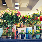 Продавец цветочного магазина о том, зачем женщины сами себе покупают цветы