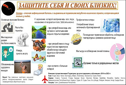 Внезапно: администрация Ростова опубликовала памятку по защите от холеры